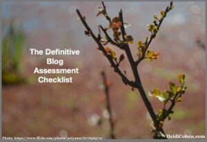 Definitive 2015 Blog Assessment Checklist