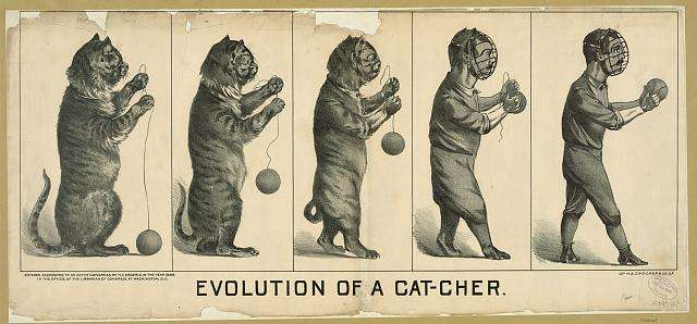 An old print from the 1880s showing a cat evolving into a catcher.