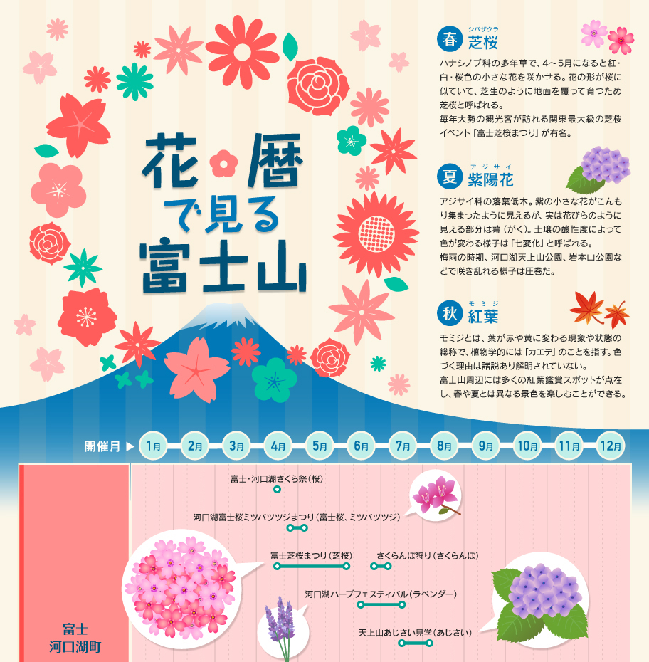 図解１分でわかるシリーズ「花歴で見る富士山」（インフォグラフィック）
